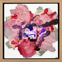 Mini Bloom 1