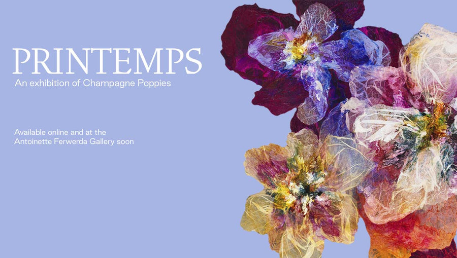Printemps Exhibition | AF x KEYTON