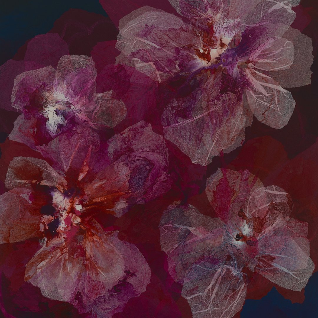 Champagne Poppies – Antoinette Ferwerda