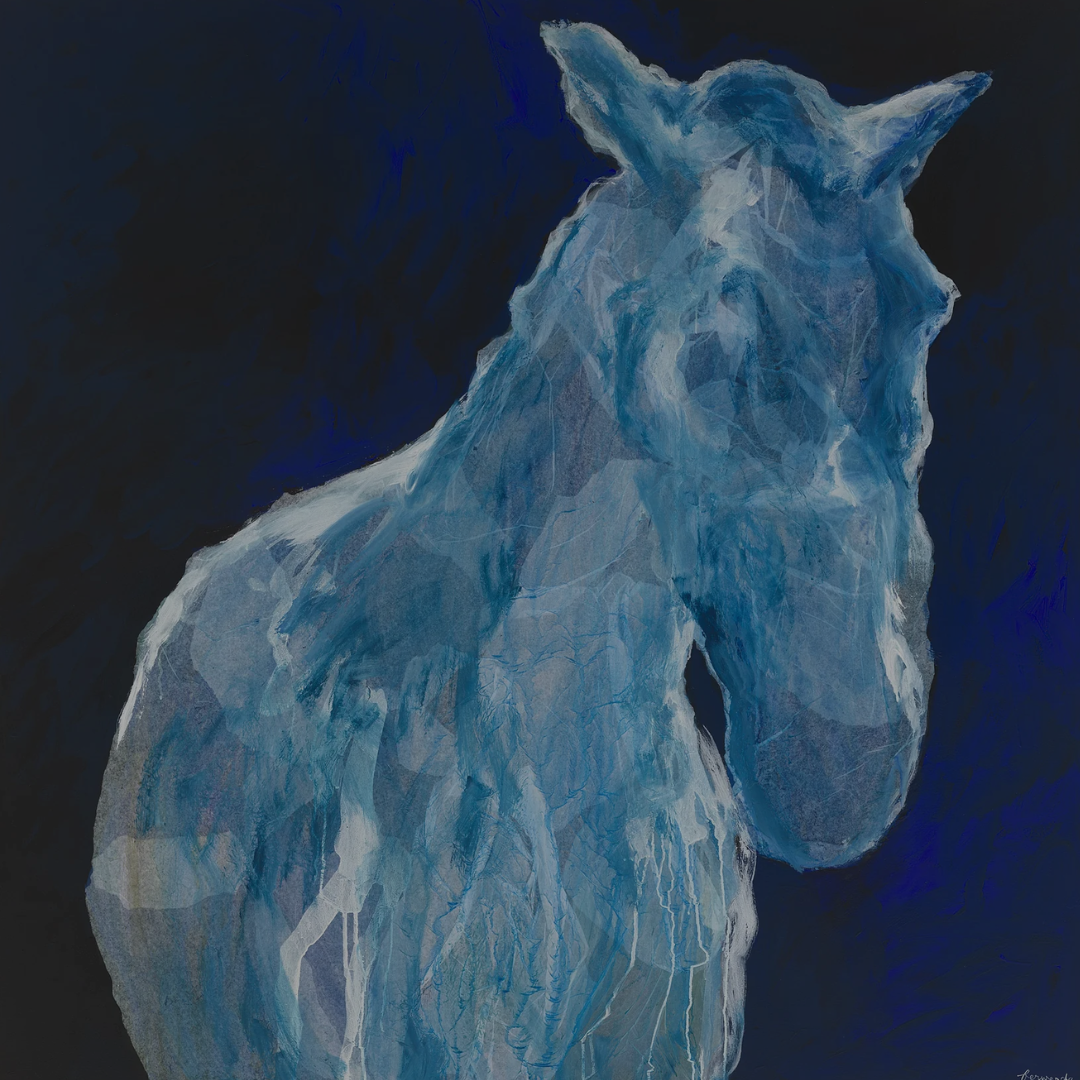 Equine Limited Editions
