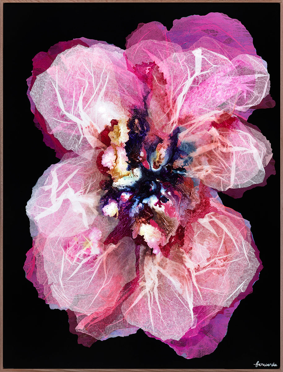 Classic Champagne Poppy