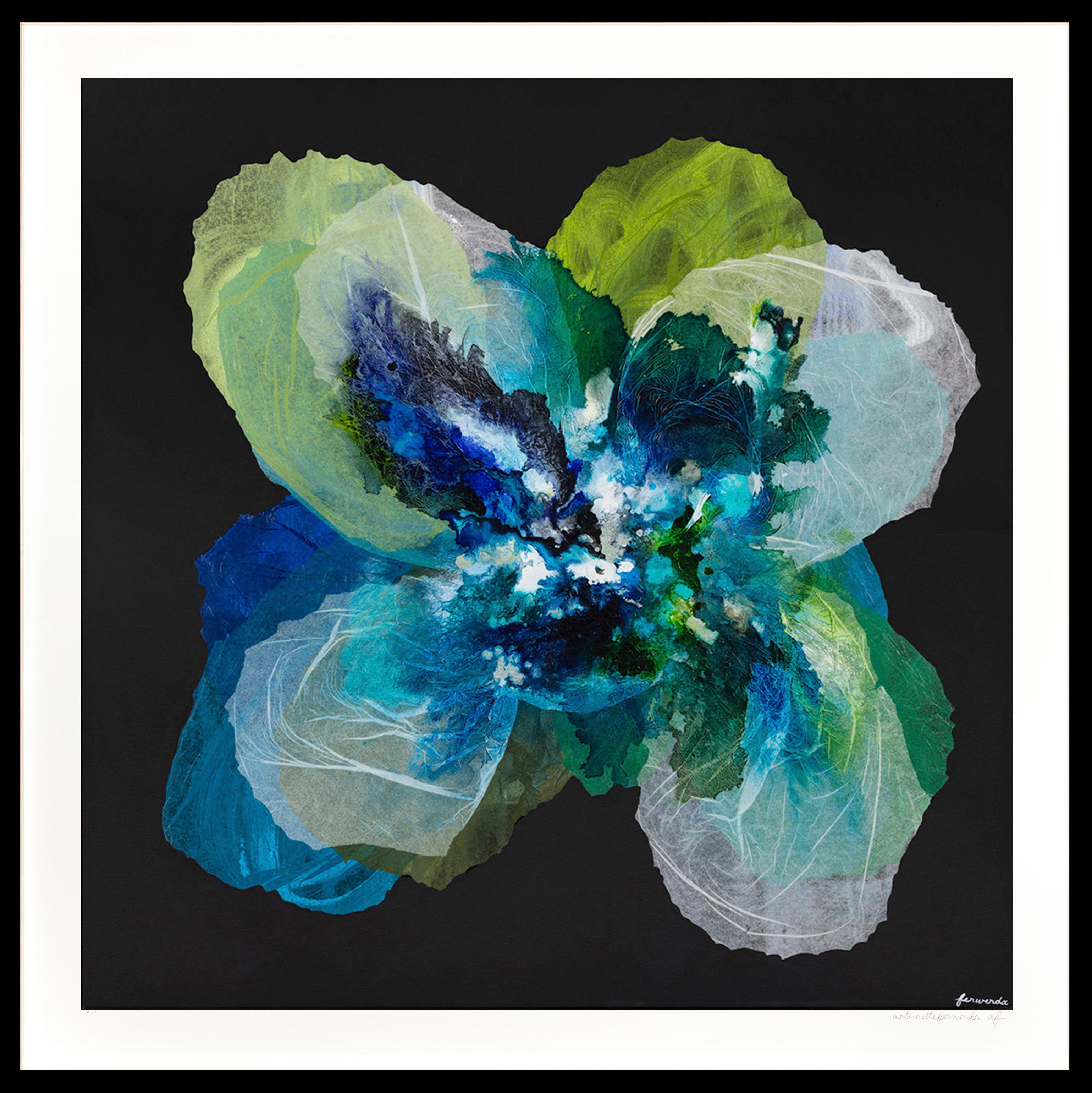 Midnight Champagne Poppy – Antoinette Ferwerda