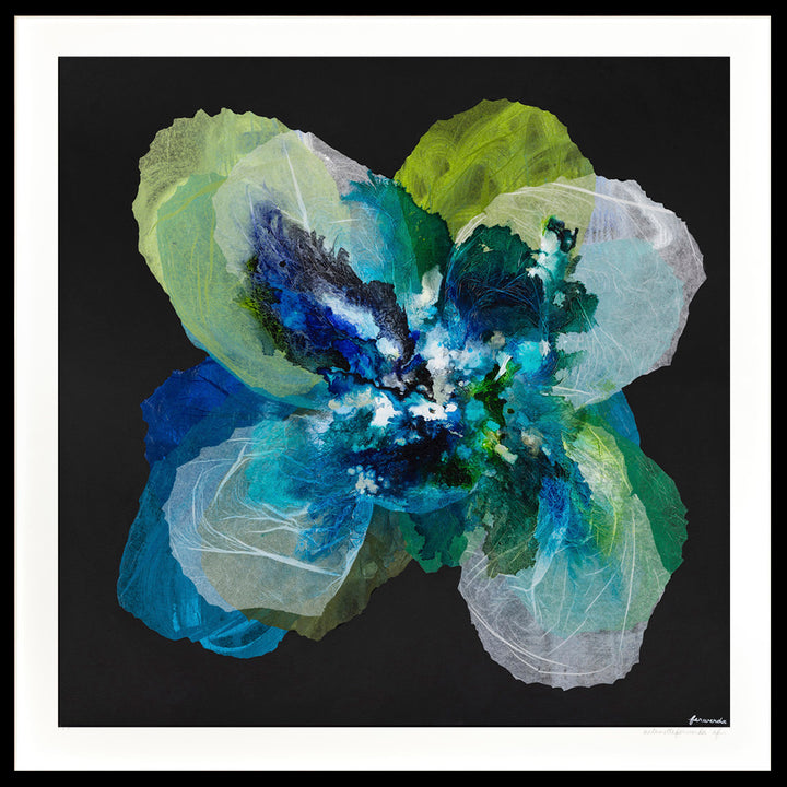 Midnight Champagne Poppy