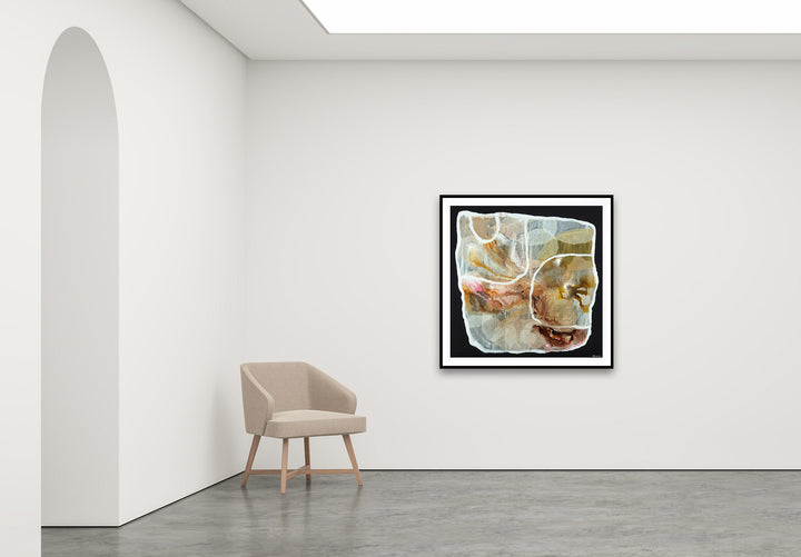 Antoinette Ferwerda | Ammonite Vessel - Styled, large, limited edition fine art reproduction, framed in black painted oak (114cm x 114cm)