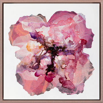Antoinette Ferwerda | Cochineal Champagne Poppy (2022) - Original artwork, framed in natural oak (44cm x 44cm)