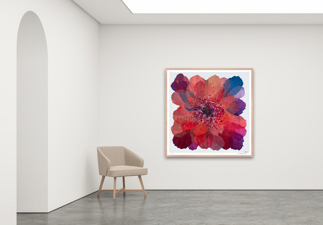 Antoinette Ferwerda | Coral Paper Daisy - Extra large, limited edition fine art reproduction in a natural oak frame