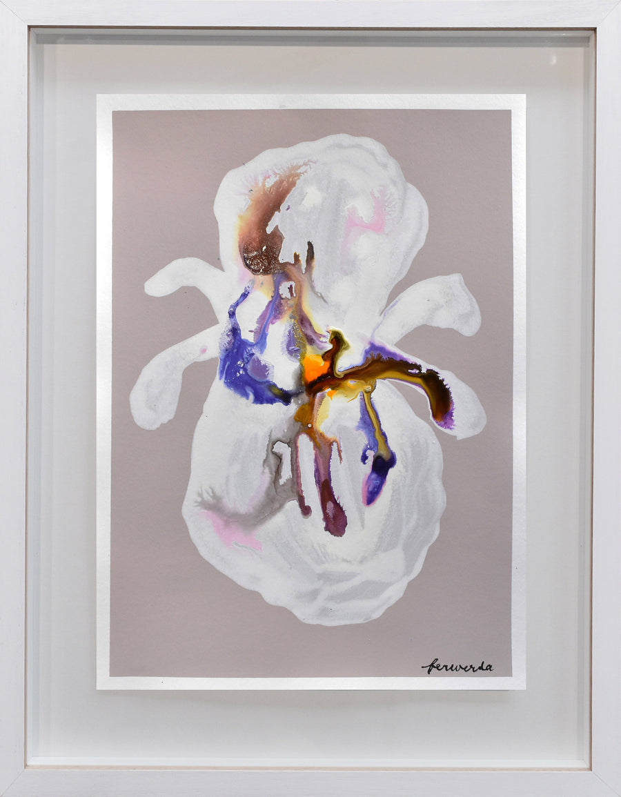 Antoinette Ferwerda | Divinity (2022) - Original artwork on paper, framed behind glass in natural oak with a white painted facade (56.5cm x 44cm)