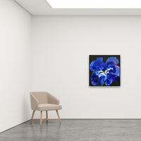Antoinette Ferwerda | Melissae Iris (2022) - Styled, original artwork, framed in black painted oak (84cm x 84cm)