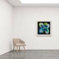 Antoinette Ferwerda | Midnight Champagne Poppy - Medium, limited edition fine art reproduction in a natural oak frame