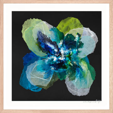Antoinette Ferwerda | Midnight Champagne Poppy - Small, limited edition fine art reproduction, framed in natural oak (65cm x 65cm)