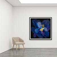 Antoinette Ferwerda | Orphne - Extra large, limited edition fine art reproduction in a black frame
