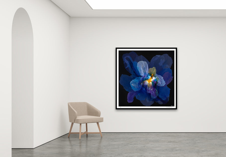 Antoinette Ferwerda | Orphne - Extra large, limited edition fine art reproduction in a black frame