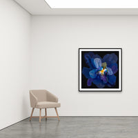 Antoinette Ferwerda | Orphne - Large, limited edition fine art reproduction in a black frame