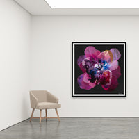 Antoinette Ferwerda | Prussian Champagne Poppy - Extra large, limited edition fine art reproduction in a black frame