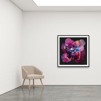 Antoinette Ferwerda | Prussian Champagne Poppy - Large, limited edition fine art reproduction in a black frame
