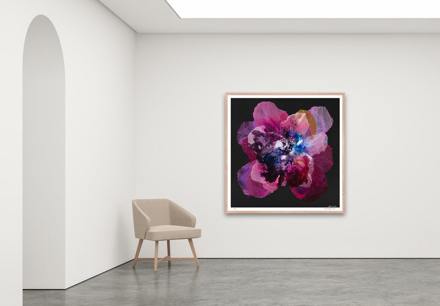 Antoinette Ferwerda | Prussian Champagne Poppy - Extra large, limited edition fine art reproduction in a natural oak frame