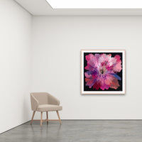 Antoinette Ferwerda | Ruby Orchid - Large, limited edition fine art reproduction in a natural oak frame
