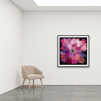 Antoinette Ferwerda | Ruby Orchid - Large, limited edition fine art reproduction in a black frame