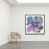 Antoinette Ferwerda | Wild Champagne Poppy - Extra large, limited edition fine art reproduction in a black frame