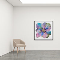 Antoinette Ferwerda | Wild Champagne Poppy - Large , limited edition fine art reproduction in a black frame